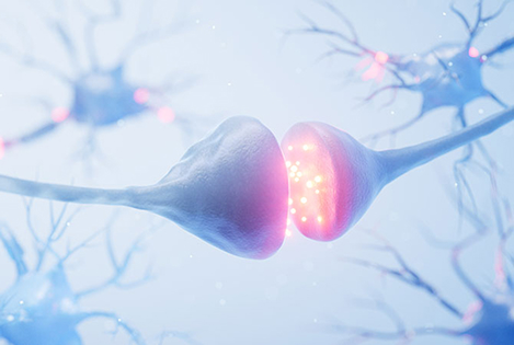 Neurorestore -인지 기능 회복으로 삶의 질의 향상