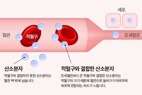 평상시 혈관 1기압