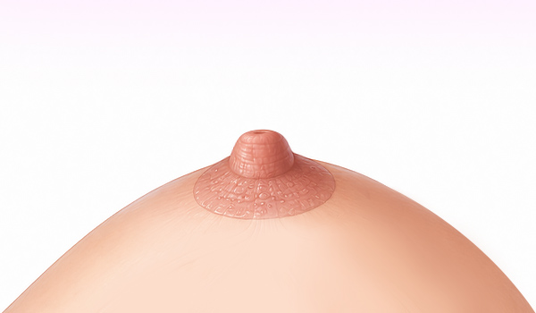 이상적인 유두유륜