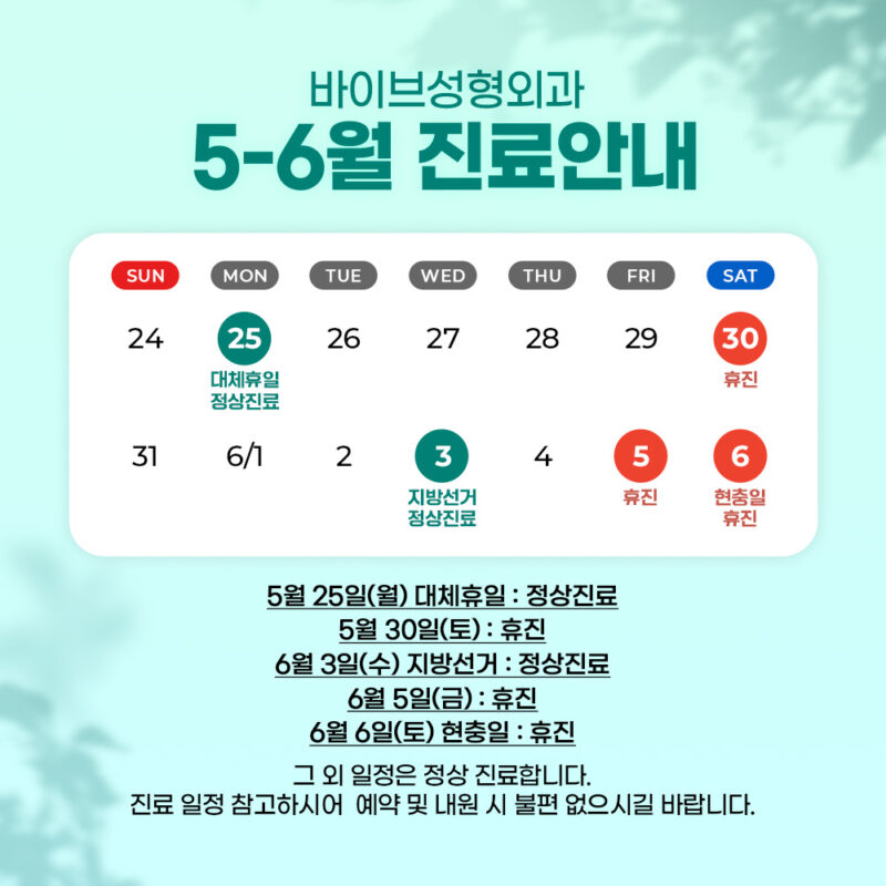 바이브 성형외과 6월 진료 일정