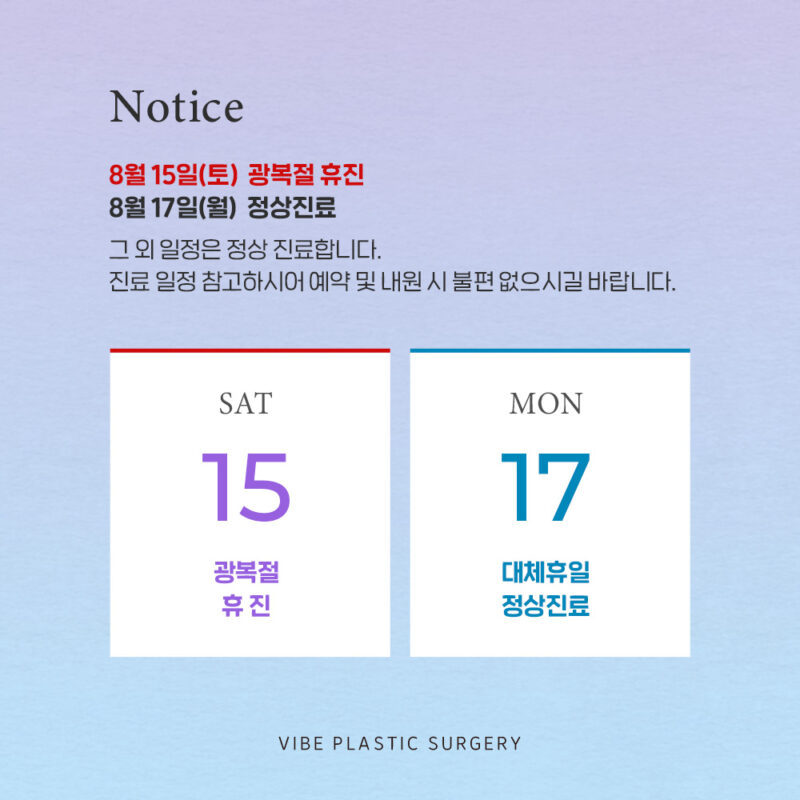 바이브 성형외과 8월 진료 일정