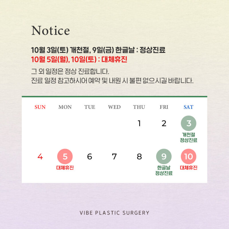 바이브 성형외과 10월 진료 일정