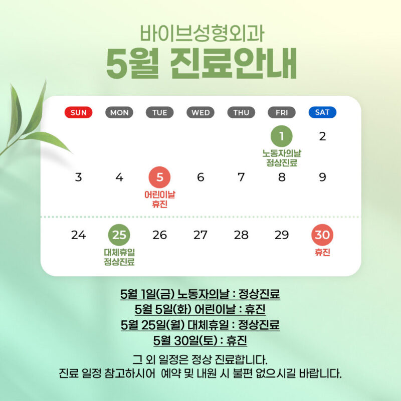 바이브 성형외과 5월 진료 일정